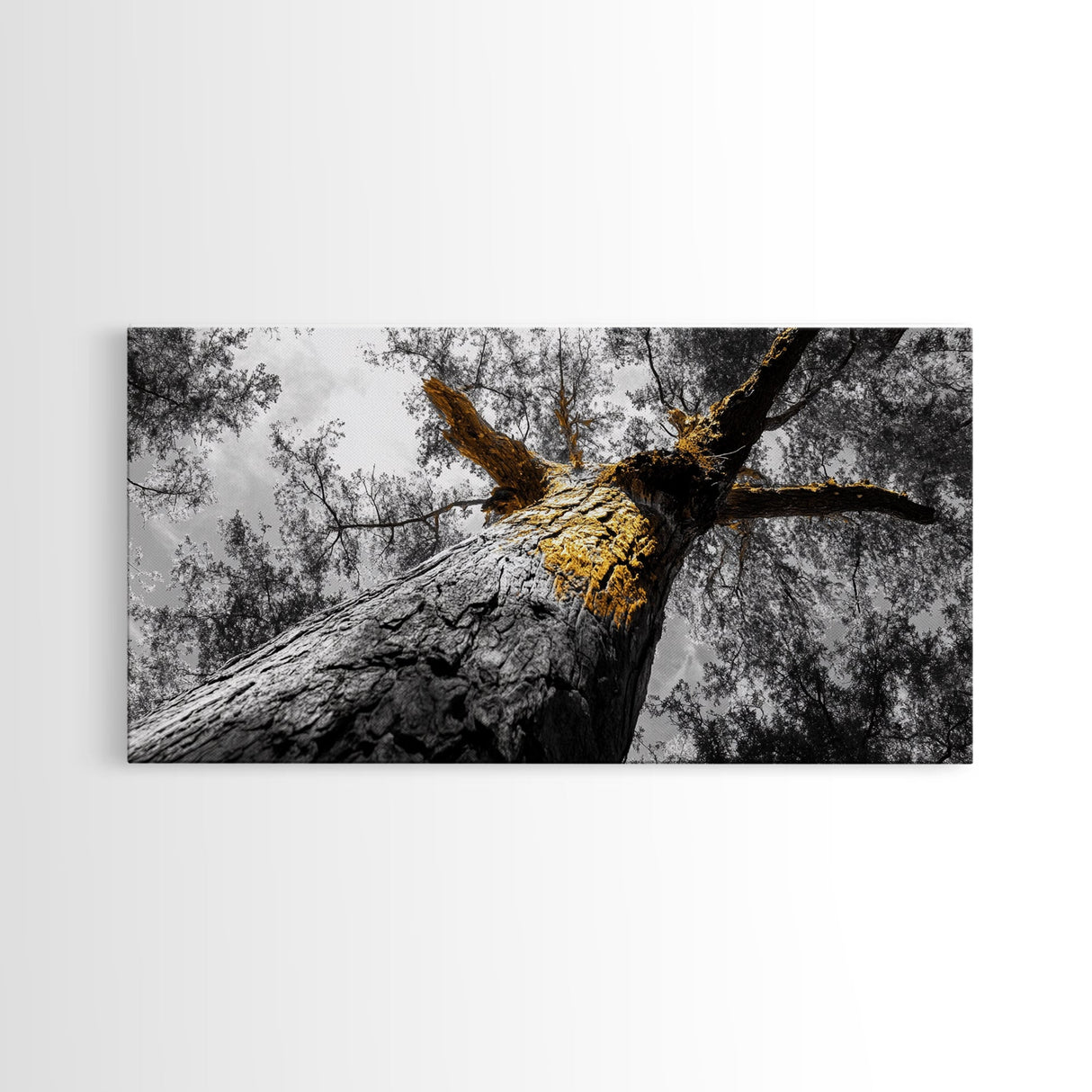 Golden Tree, Nature Upward, Woodland Strength, Forest Energy, Framed Canvas Print, Autumn Wall Art, Minimalist Tree Decor, Nature Print