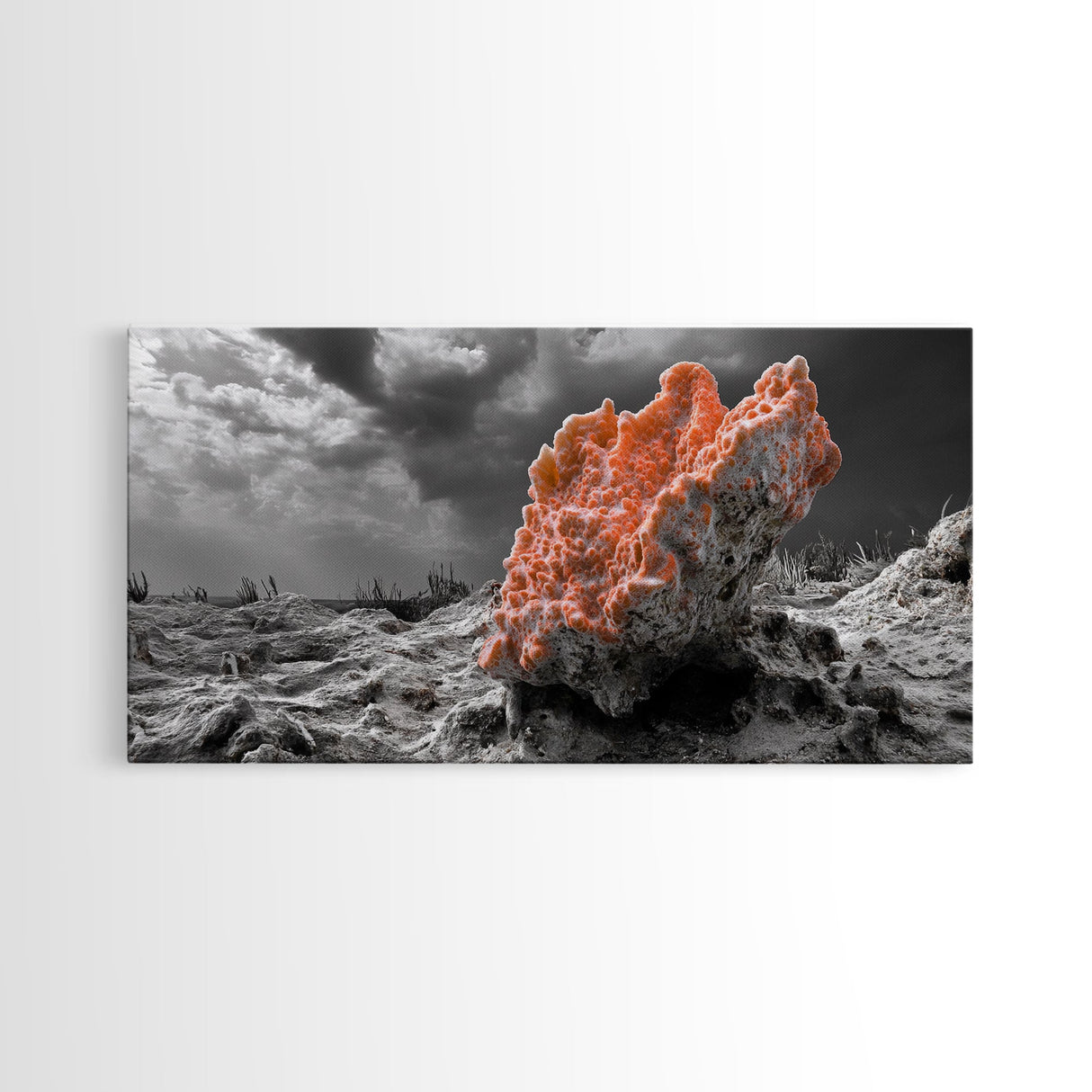 Coral Texture Art, Desert Coral Print, Earthy Organic Decor, Vibrant Nature Scene, Framed Canvas Print, Living Room Wall Art, Natural Art