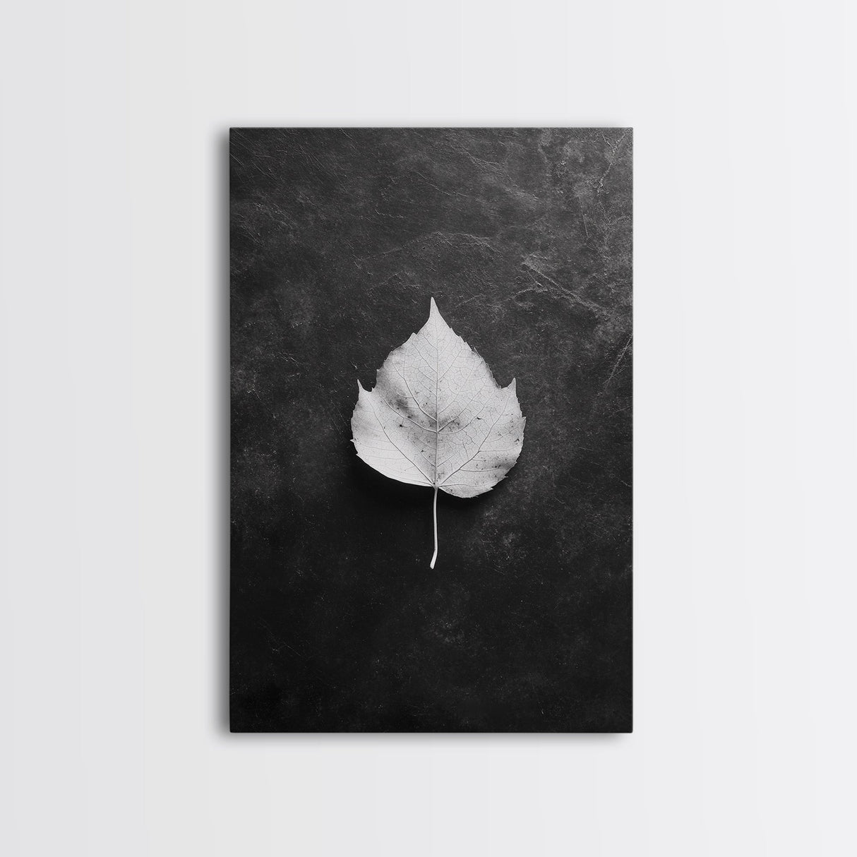 Monochrome Leaf, Nature Minimal, Still Life, Moody Art, Framed Canvas Print, Fall Wall Art, Kitchen Decor, Neutral Modern Aesthetic