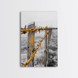 Yellow Fence Wire, Rustic Barbed Wire, Country Fence, Framed Canvas Print, Farmhouse Wall Art, Minimalist Rustic Home Decor