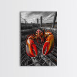 Lobster Trap, Coastal Catch, Bold Seafood, Nautical Framed Canvas Print, Kitchen Wall Art, Coastal New England Decor, Lobster Boho Art