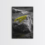 Mossy Stone Closeup, Earthy Nature Texture, Minimal Landscape Print, Framed Canvas Print, Modern Office Wall Decor, Zen Rock Art