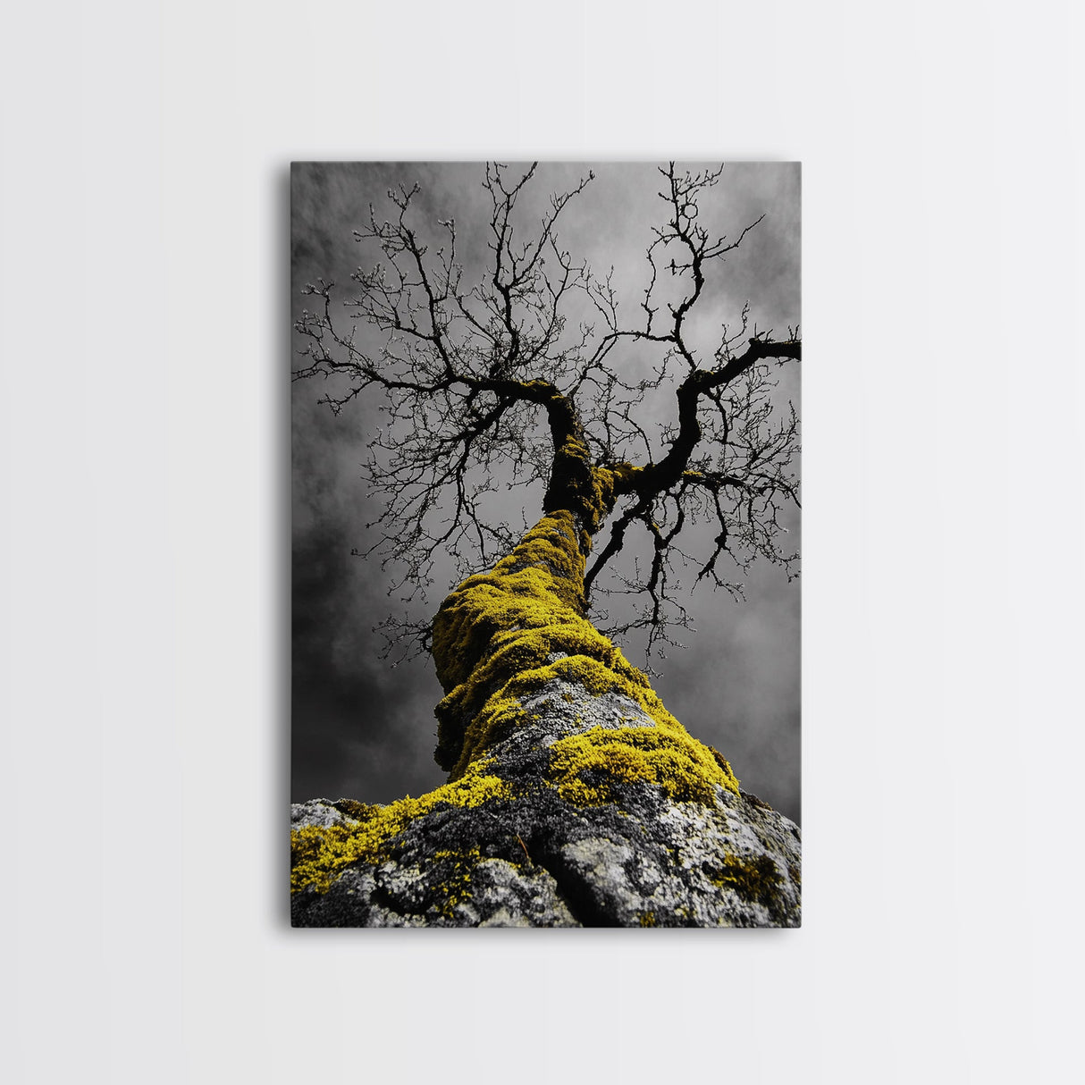 Moss Covered Tree, Dramatic Nature Scene, Autumn Forest Decor, Moody Woodland Art, Framed Canvas Print, Rustic Living Room Wall Art