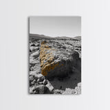 Yellow Lichen Rock, Monochrome Landscape, Desert Texture, Canvas Print, Rustic Wall Art, Minimalist Decor, Entryway or Office Art