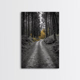 Forest Path, Yellow Trees, Autumn Trail, Framed Canvas Print, Fall Wall Art, Woodland Nature Decor, Cozy Home Accent, Entryway Artwork