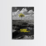 Solitary Tree, Desert Reflection, Yellow Leaves, Framed Canvas Print, Minimalist Wall Art, Bedroom Decor, Nature Fine Art Landscape