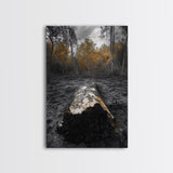 Fallen Log, Autumn Forest, Nature Transition, Framed Canvas Print, Rustic Fall Decor, Cabin Wall Art, Woodland Photography