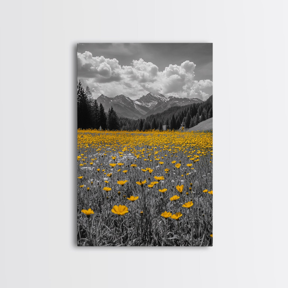 Yellow Wildflowers, Mountain Field, Blooming Meadow, Framed Canvas Print, Nature Photography, Rustic Decor, Dining Room Wall Art