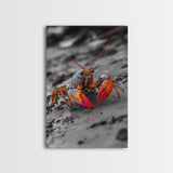 Colorful Lobster, Beach Wildlife, Close-Up Macro Art, Framed Canvas Print, Kitchen Wall Art, Coastal Marine Decor, Vibrant Style