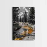 Forest Stream, Autumn Glow, Mountain Trees, Framed Canvas Print, Rustic Cabin Wall Art, Nature Photography, Fall Landscape Decor