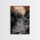 Rocky Trail, Autumn Leaves, Forest Path, Framed Canvas Print, Fall Nature Wall Art, Rustic Entryway Decor, Hiking Landscape Art