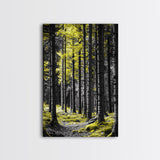 Yellow Forest, Tall Pines, Woodland Scene, Framed Canvas Print, Modern Nature Wall Art, Cabin Living Room Decor, Fall Forest Art