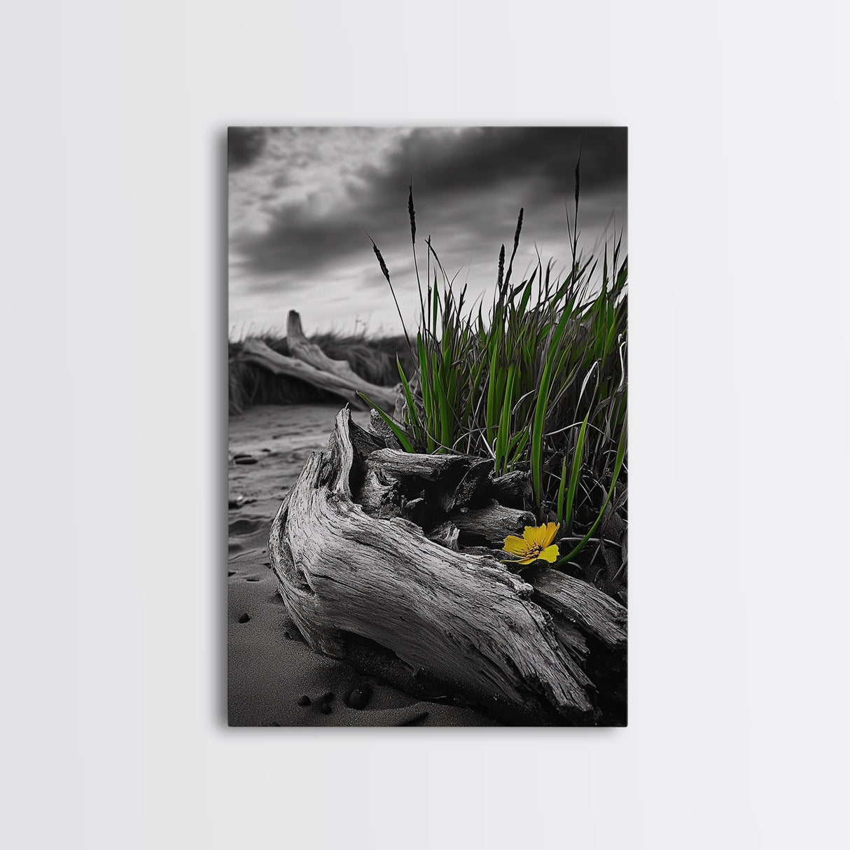Wild Bloom, Yellow Flower, Driftwood and Grass, Moody Beach Scene, Framed Canvas Print, Autumn Wall Art, Nature Decor, Cozy Home Accent