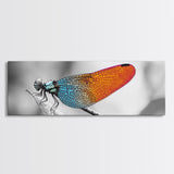 Closeup Dragonfly, Colorful Wings, Abstract Nature, Macro Art — Framed Canvas Print, Living Room Decor, Botanical Wall Art, Modern Minimal