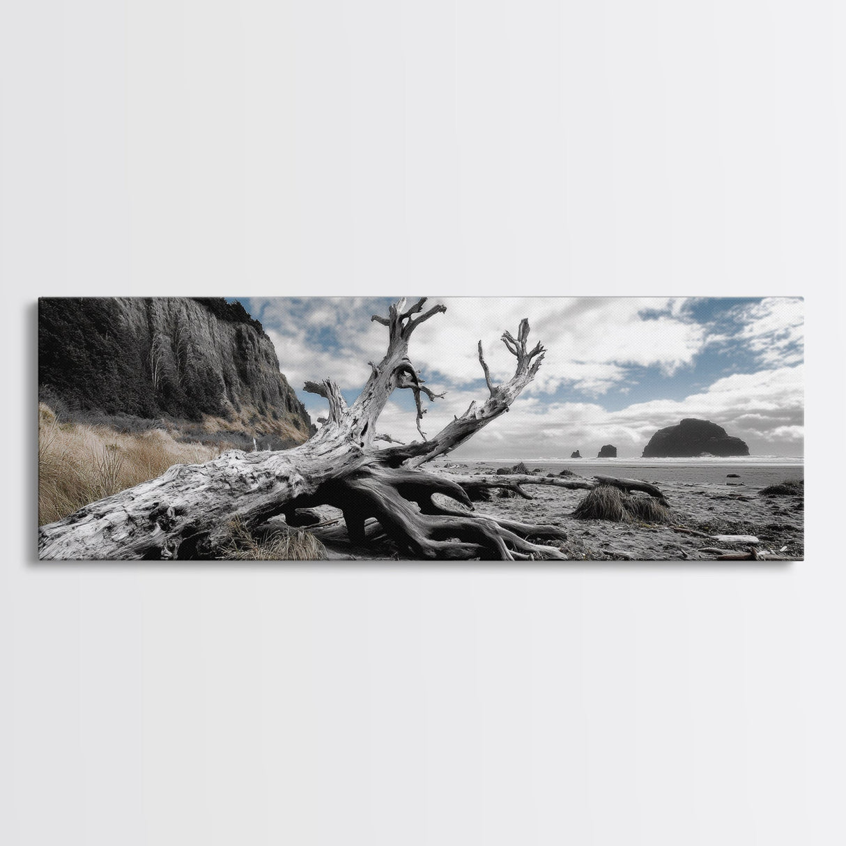 Driftwood, Coastal Tree, Beach Skeleton, Ocean Landscape, Framed Canvas Print, Coastal Decor, Neutral Tones, Office Wall Art