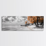 Sandy Beach Trees, Golden Autumn Coastline, Cloudy Sky Horizon, Canvas Print, Nature Coastal Art, Bathroom Wall Decor, Boho Fall Aesthetic