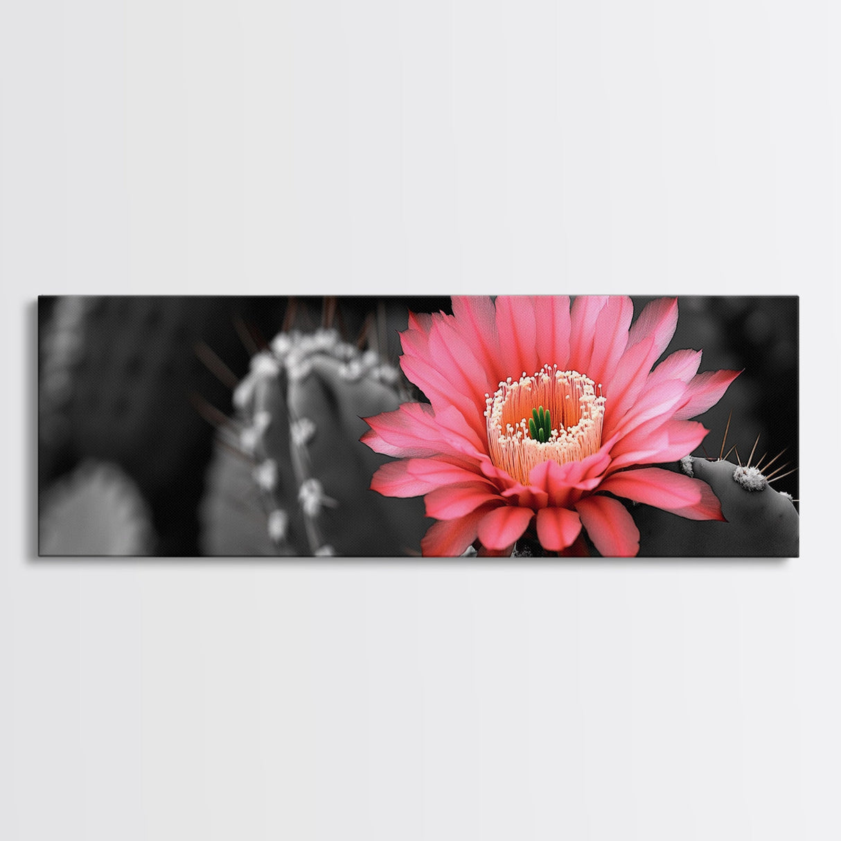 Desert Bloom, Cactus Flower, Vibrant Petals, Nature Beauty, Framed Canvas Print, Boho Wall Art, Living Room Decor, Pink Flower Photography