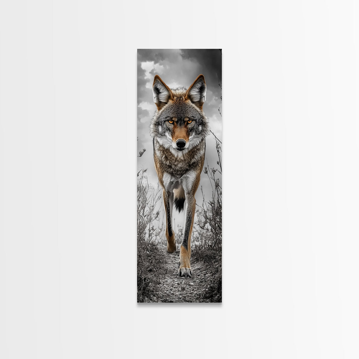 Intense Coyote Stare Framed Canvas Print | Wildlife Wall Art | Rustic Decor | Moody Art | Southwest Wall Art | Above Sofa Art | Gift Idea