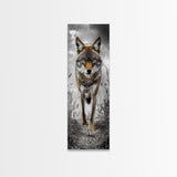 Intense Coyote Stare Framed Canvas Print | Wildlife Wall Art | Rustic Decor | Moody Art | Southwest Wall Art | Above Sofa Art | Gift Idea