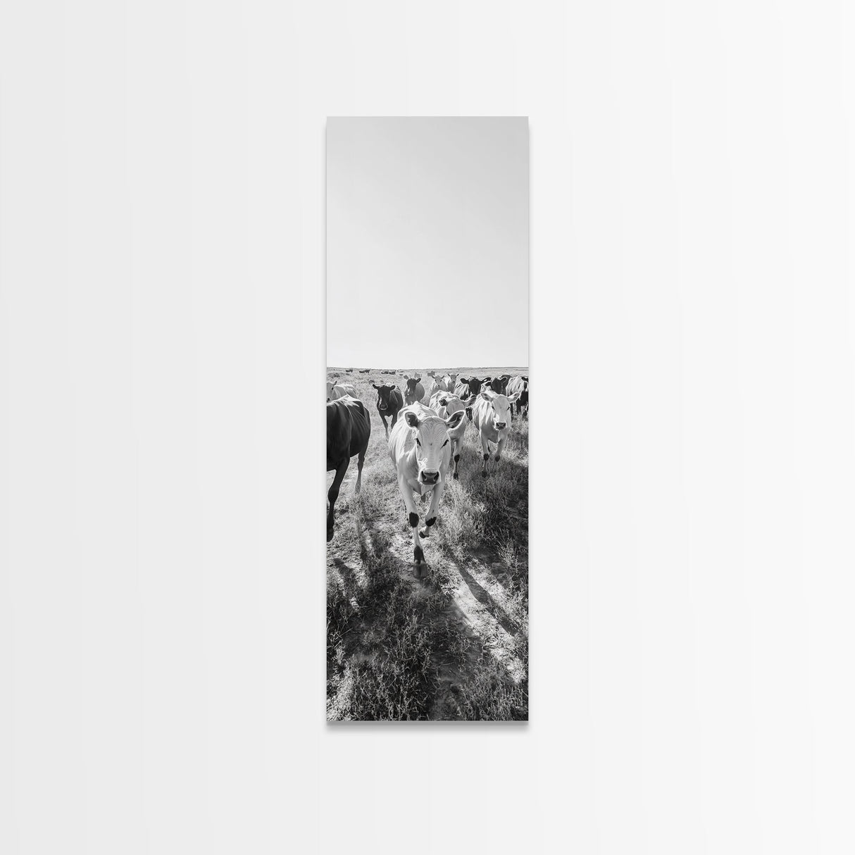 Running Cattle, Framed Canvas Print, rustic western wall art, cowboy décor, farmhouse art, above sofa art, panoramic painting, country home decor