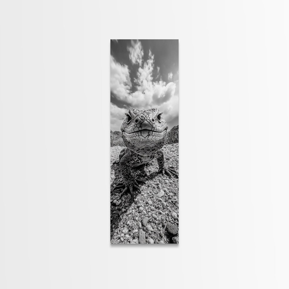 Lizard Close-Up, Framed Canvas Print, wildlife photography, rustic wall art, southwest wall art, desert animal art, black and white home decor