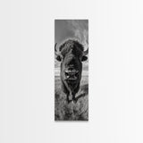 Majestic Bison Close-Up, Framed Canvas Print, rustic wall art, cowboy home décor, wildlife photography, farmhouse art, black and white photography