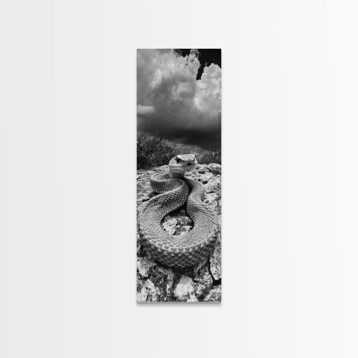 Rattlesnake Desert Art, Framed Canvas Print, southwest wall art, rustic decor, moody art, wildlife photography, cowboy aesthetic, gift idea