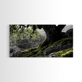 Mossy Oak Tree, oak tree art, nature wall art, rustic art, botanical prints, green wall art, extra wide art, Framed Canvas Print