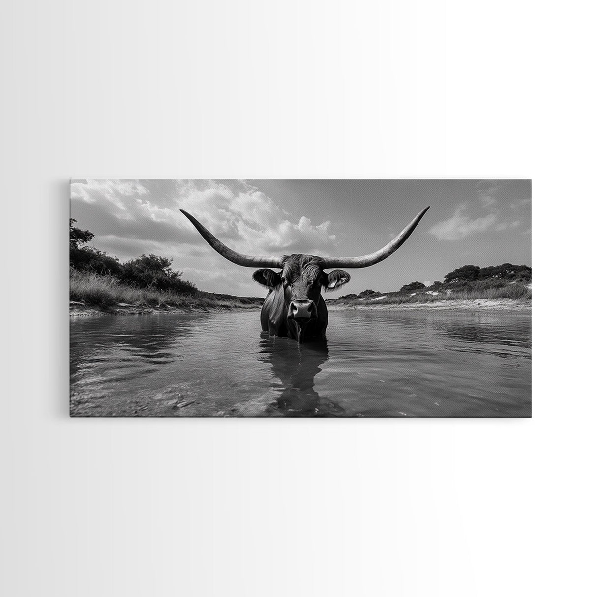 Longhorn in Water, rustic art, western decor, bull and bear art, cowboy wall art, farmhouse art, panoramic art, Framed Canvas Print