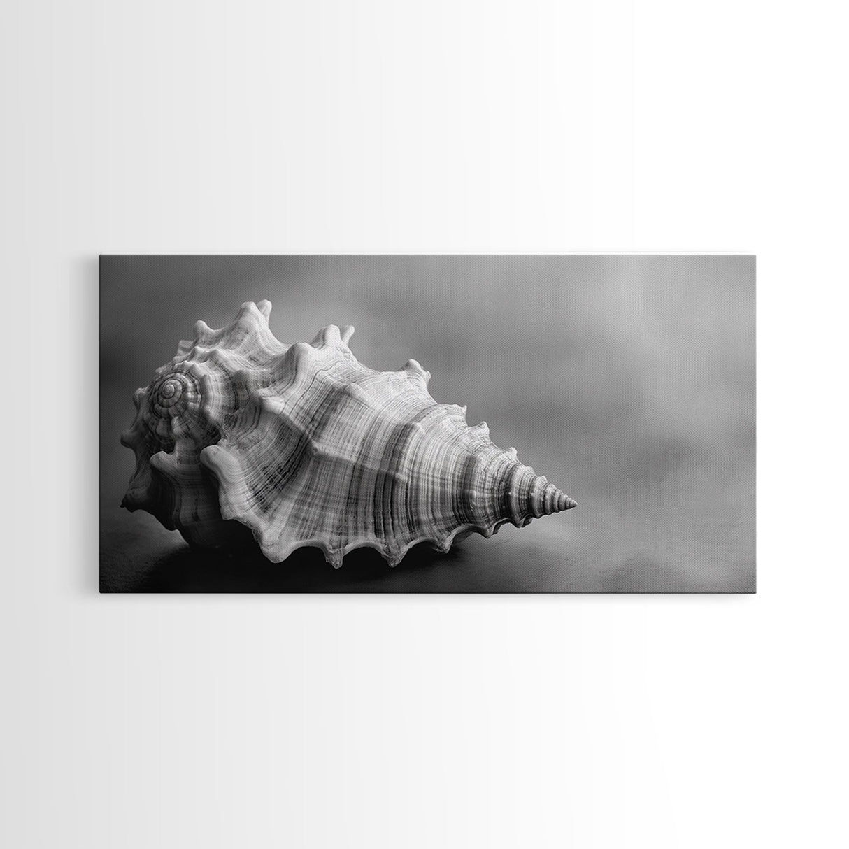 Sea Shell, Wabi Sabi Art, Coastal Decor, Minimalist Art, Nautical Wall Art, Moody Art, Extra Wide Art, Framed Canvas Print