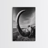 Ancient Horn, ozymandias art, rustic wall art, moody decor, nature landscape art, wabi sabi art, framed canvas print, farmhouse decor