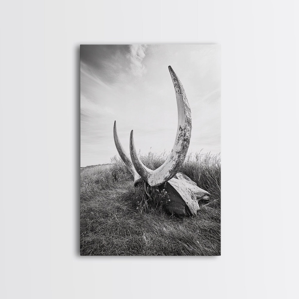 Large horns, rustic skull, bull and bear art, moody wall art, desert decor, cowboy aesthetic, framed canvas print, minimalist art