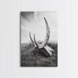 Large horns, rustic skull, bull and bear art, moody wall art, desert decor, cowboy aesthetic, framed canvas print, minimalist art