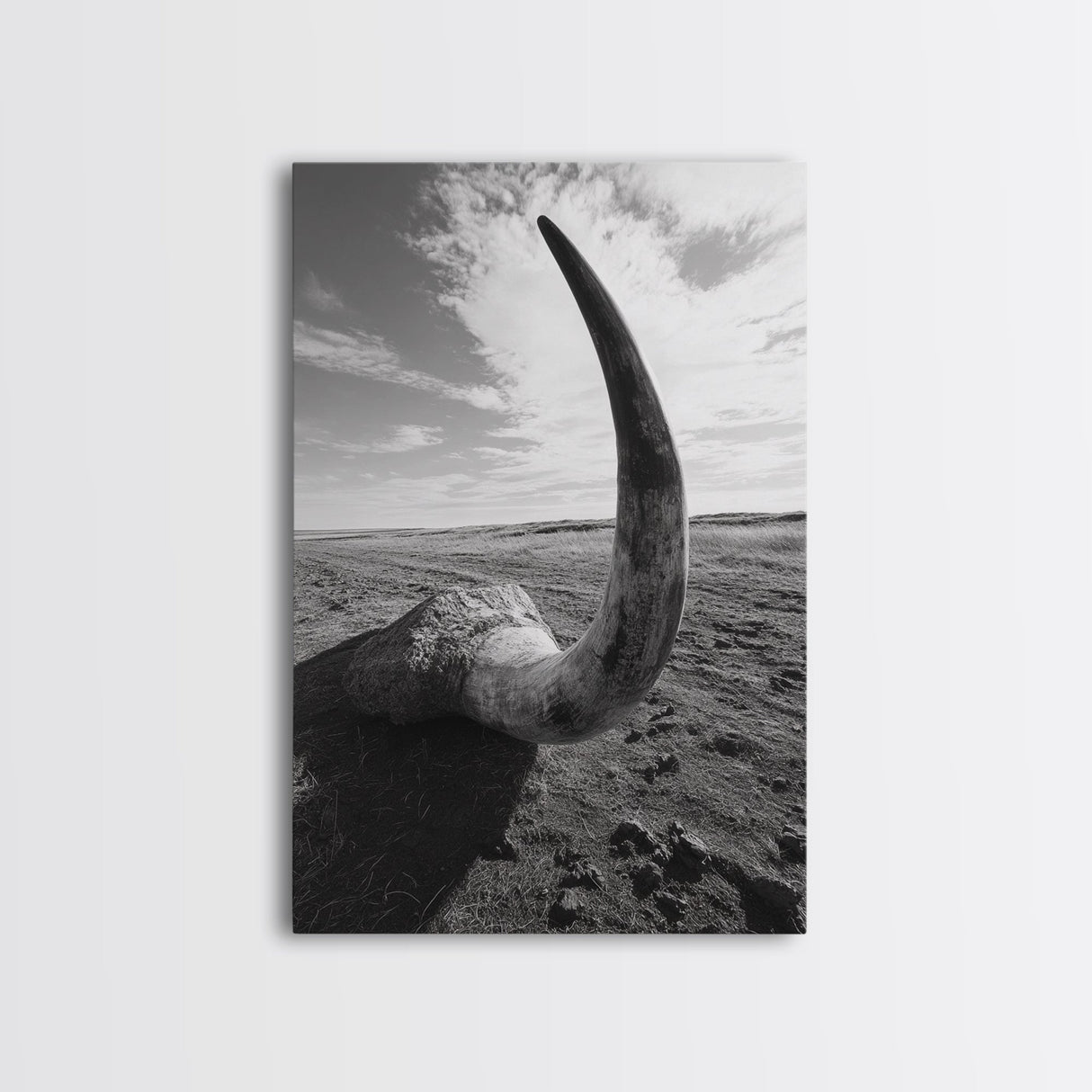 Lone Horn, desert minimalism, rustic western art, wabi sabi decor, moody photography, framed canvas print, black and white, southwest art