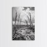 Windblown Trees, stormy sky, moody landscape, wabi sabi art, black and white, framed canvas print, rustic decor, nature photography