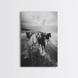 Horse wall art, wild mustangs, moody art, rustic decor, nature photography, black and white art, panoramic art, canvas print, living room art