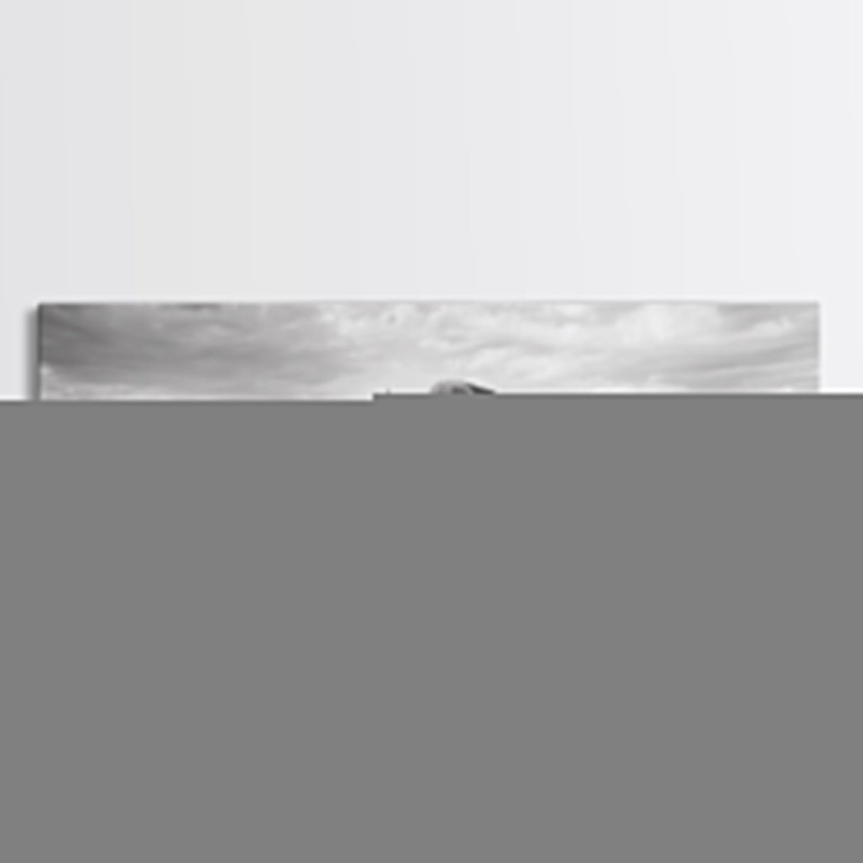 Lone buffalo, western landscape, rustic wall art, panoramic art, extra wide art, farmhouse decor, framed canvas print, wildlife painting, bull and bear art