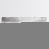 Lone buffalo, western landscape, rustic wall art, panoramic art, extra wide art, farmhouse decor, framed canvas print, wildlife painting, bull and bear art