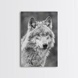Wolf Portrait in Black and White Photography - Framed Canvas Print, Wildlife Photography, Rustic Wolf Art for Home Wall Decor