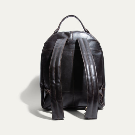 Back view of the dark brown leather backpack showing the top handle and two adjustable shoulder straps.