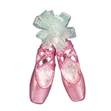 Pair Of Ballet Slippers