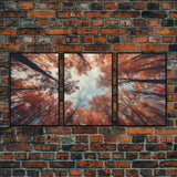 Trees Wall Art, Fall Art Print, Nature Print, Canvas Print, Wall Art, 3 Piece Wall Art, Farmhouse Wall Decor, Living Room Art, Office Prints