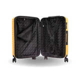Ally Carry On 20"
