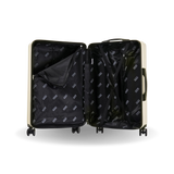 Drip Carry On 20"