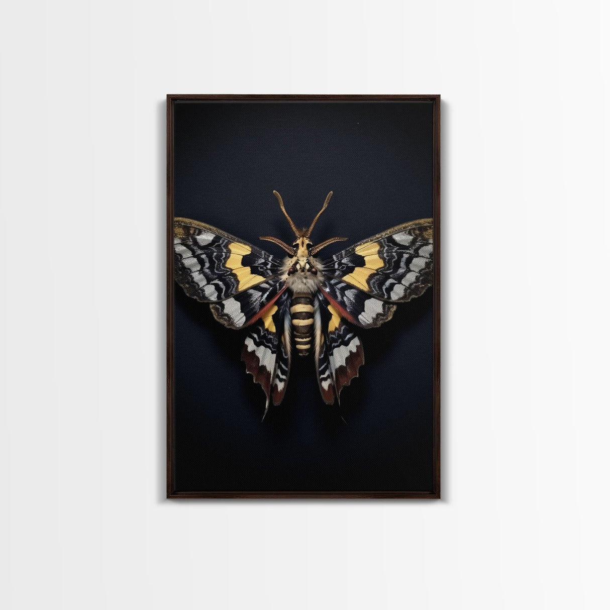 Framed Death Head Moth Canvas Print, Acherontia, Taxidermy Art, Dried Butterfly Print, Bug Wall Art Hanging Decor, Goth Art, Halloween Art