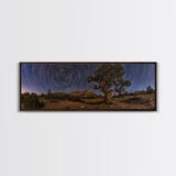 Time Lapse Photography Style Print, Panoramic Wall Art, Starry Night Sky Photo Print, Joshua Tree