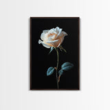 Still Life Photograph of a White Rose, Framed Canvas Print, Rose Painting, Rose Decor, Rose Wall Art, Mother's Day Gift Idea, Flower Wall Art