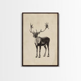 Reindeer Canvas Print - Framed Canvas - Minimalist Christmas Art - Boho Christmas Art - Rustic Christmas Art