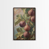 Figs On The Vine Framed Canvas Print - Kitchen Wall Art - Figs Painting