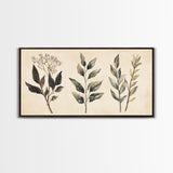 Boho Botanical Sketch Print, Botanical Wall Art, Framed Canvas Print, Minimalist Pencil Sketch Wall Art, Minimalist Home Decor, Living Room Art